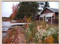 pelican lake restore